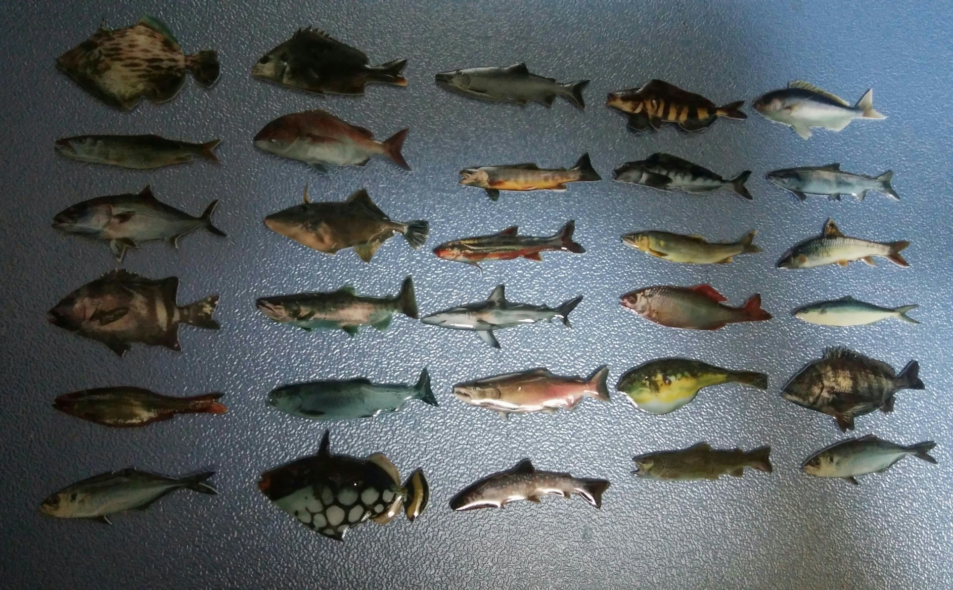 魚屋天然堂2
