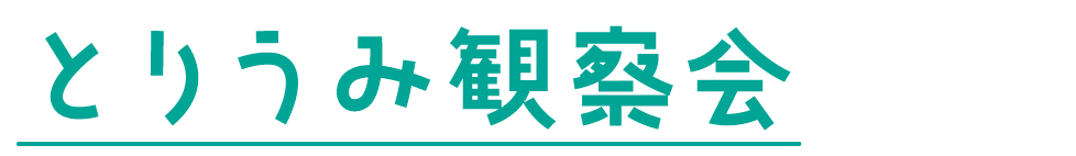 とりうみ観察会