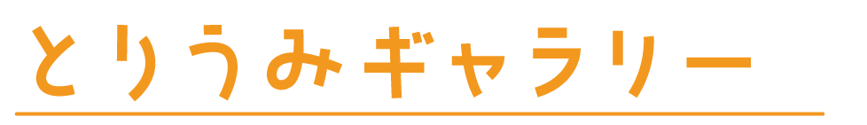 とりうみギャラリー