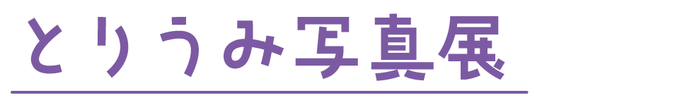 とりうみ写真展