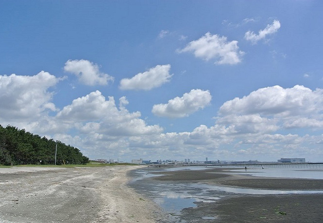 ふなばし三番瀬海浜公園・ふなばし三番瀬環境学習館