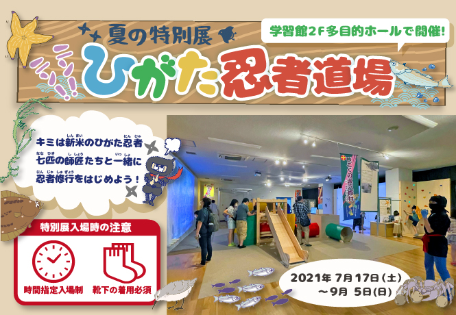 ふなばし三番瀬海浜公園 ふなばし三番瀬環境学習館 ふなばし三番瀬海浜公園 ふなばし三番瀬環境学習館