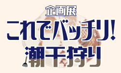 これでバッチリ！潮干狩り