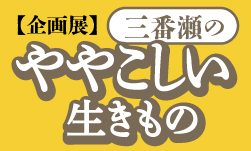ややこしい生きもの