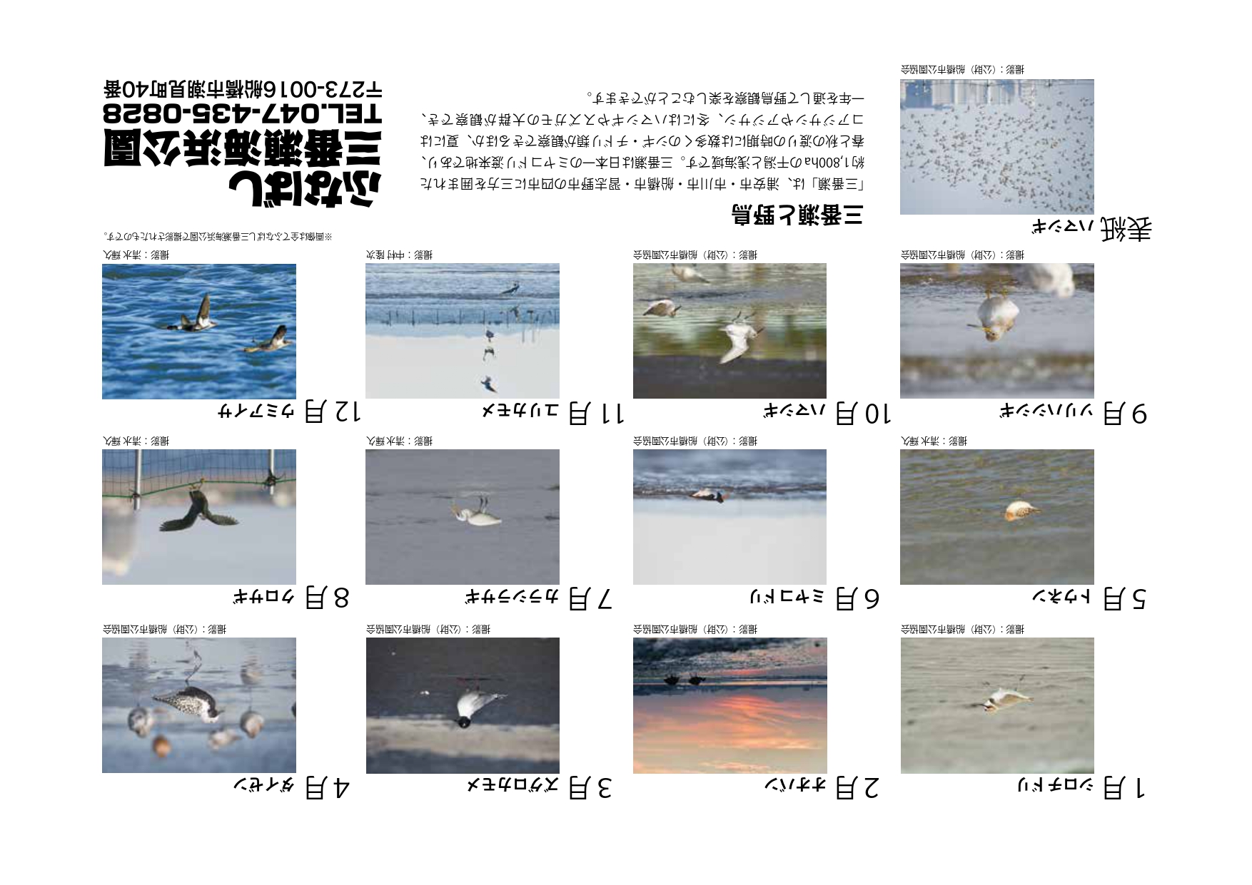 野鳥カレンダー2022裏表紙