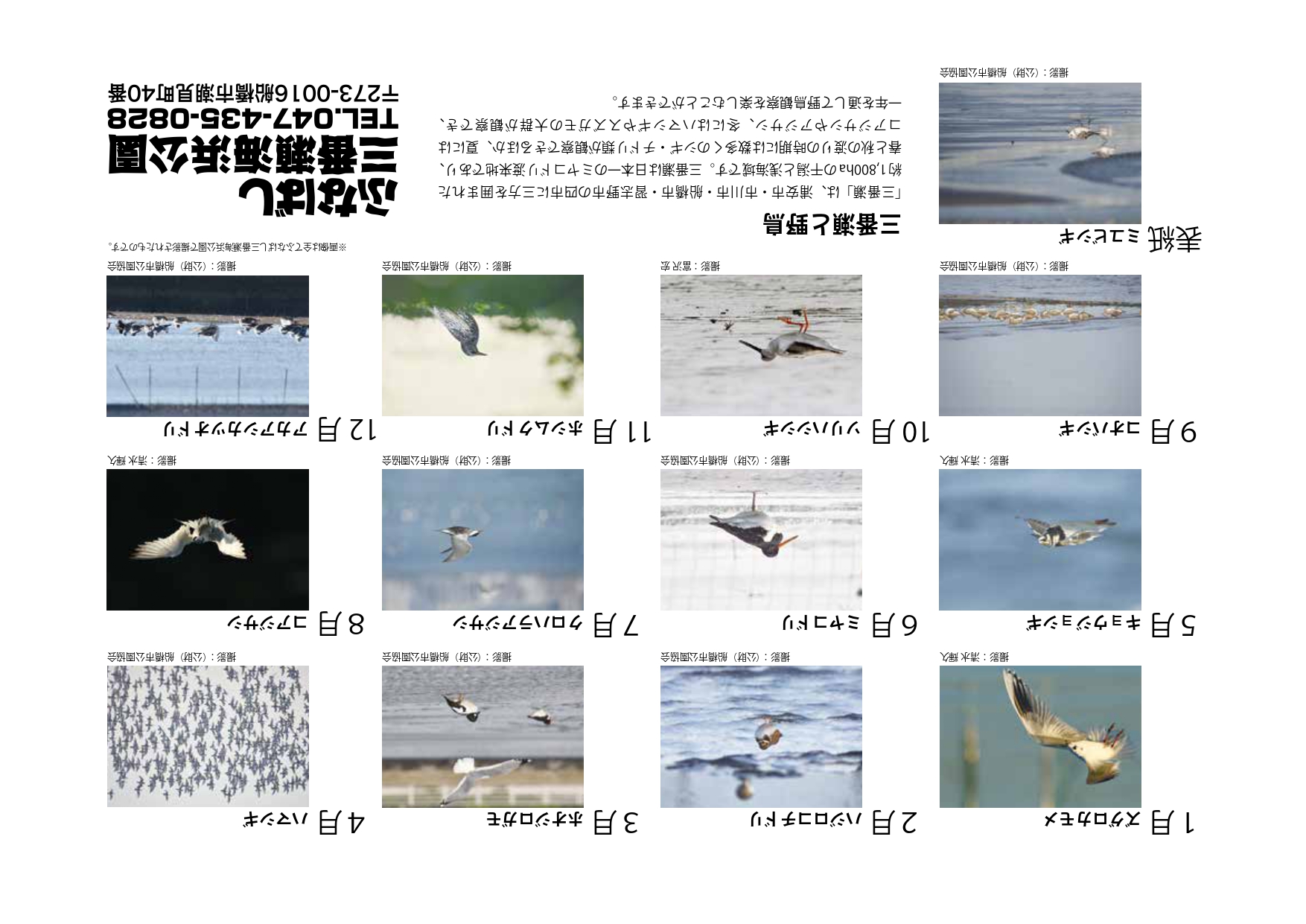 野鳥カレンダー2023裏表紙