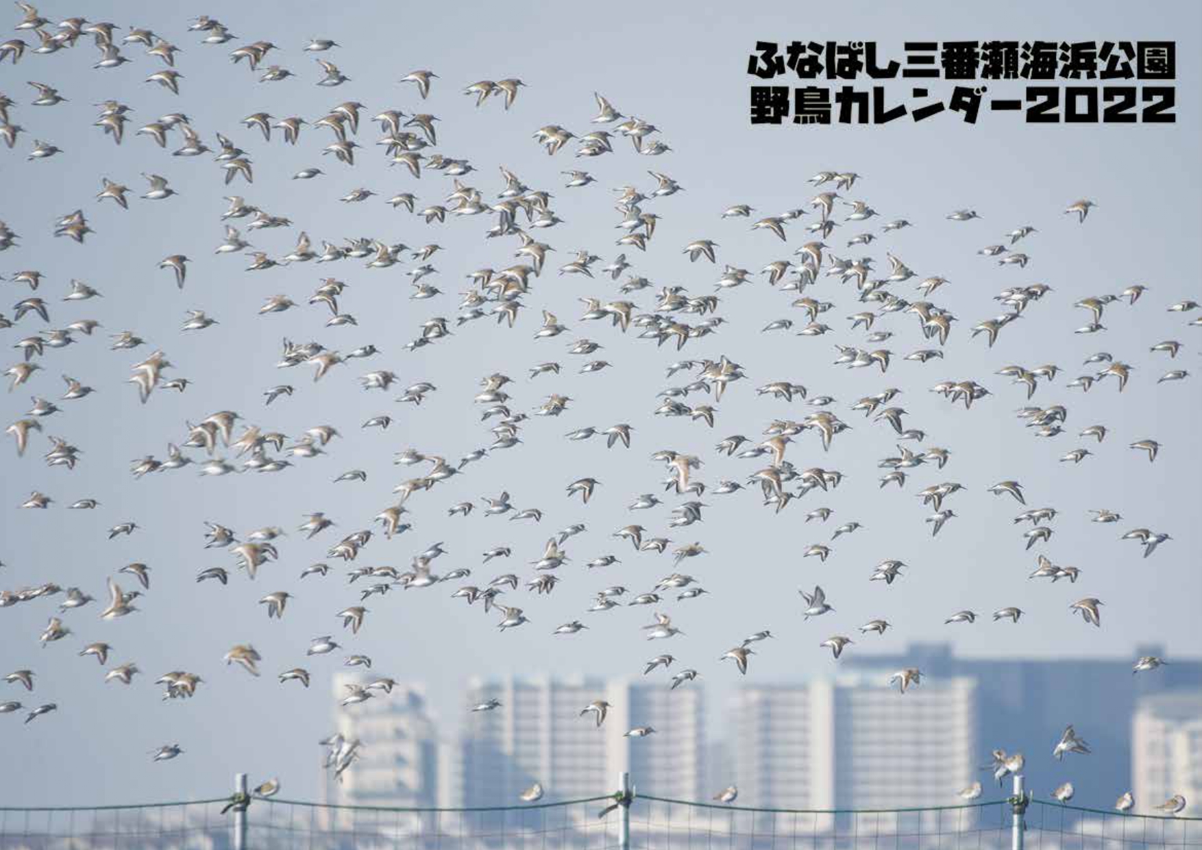 野鳥カレンダー2022表紙