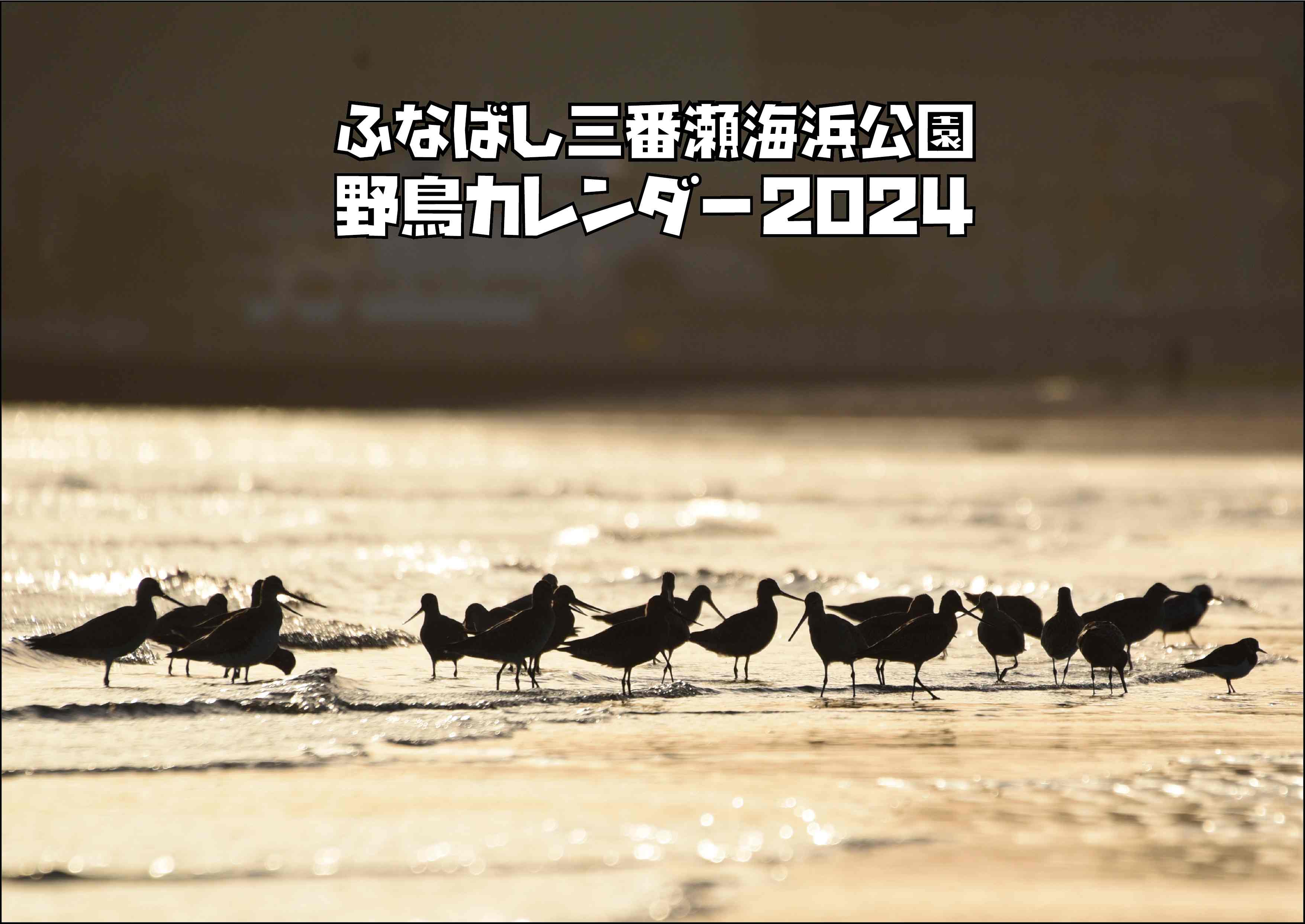 野鳥カレンダー2024表紙