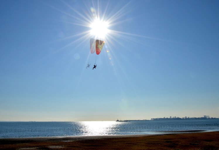 <b>海浜公園部門入選</b>