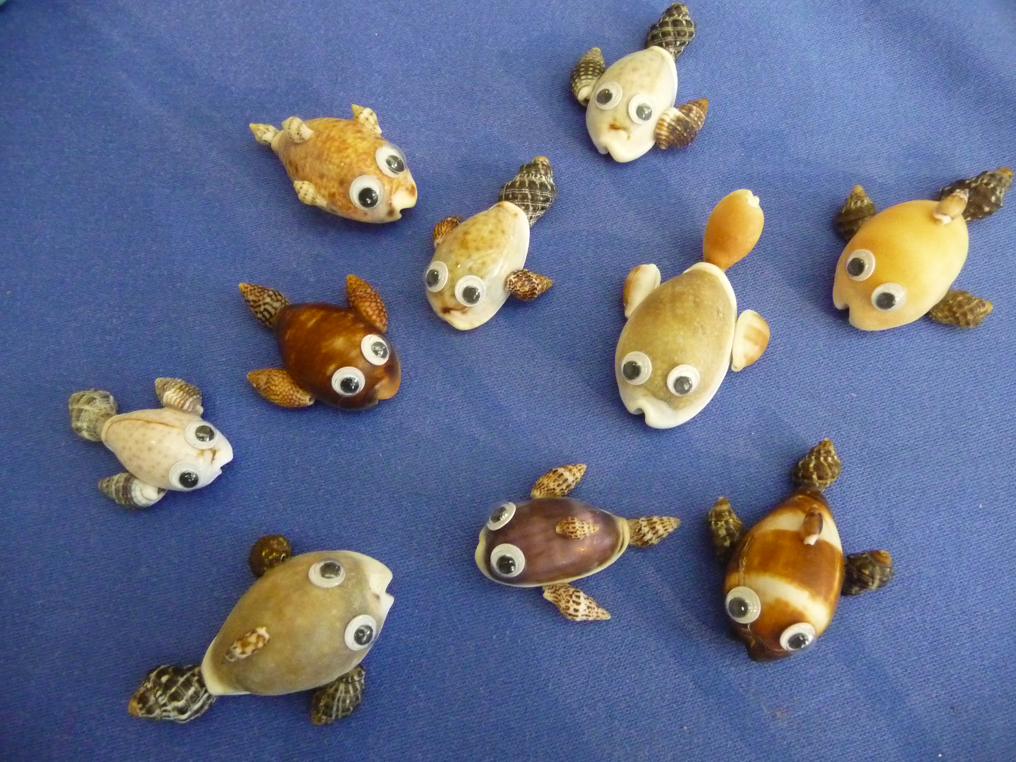 宝貝魚